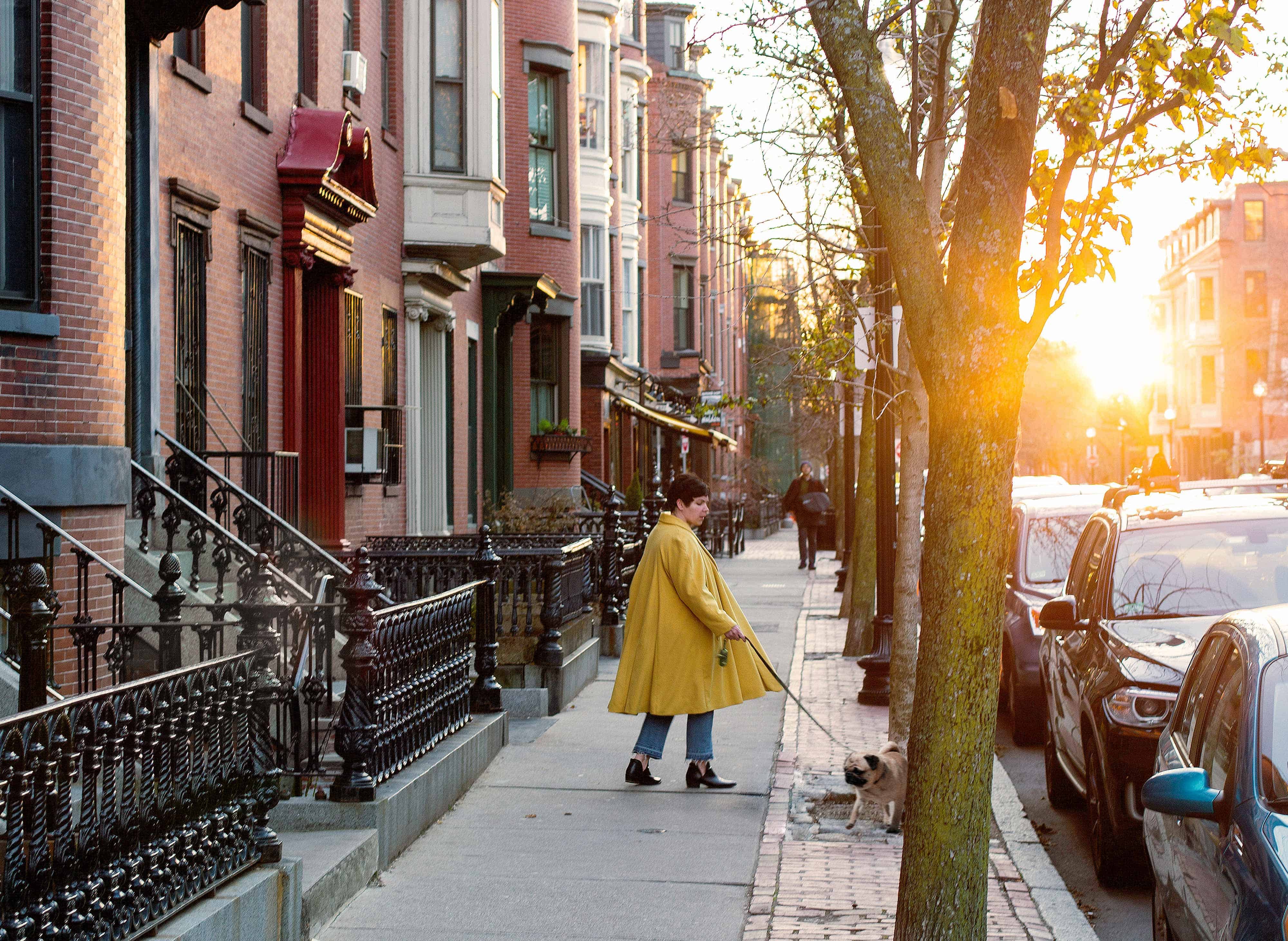 woman walking dog in the city