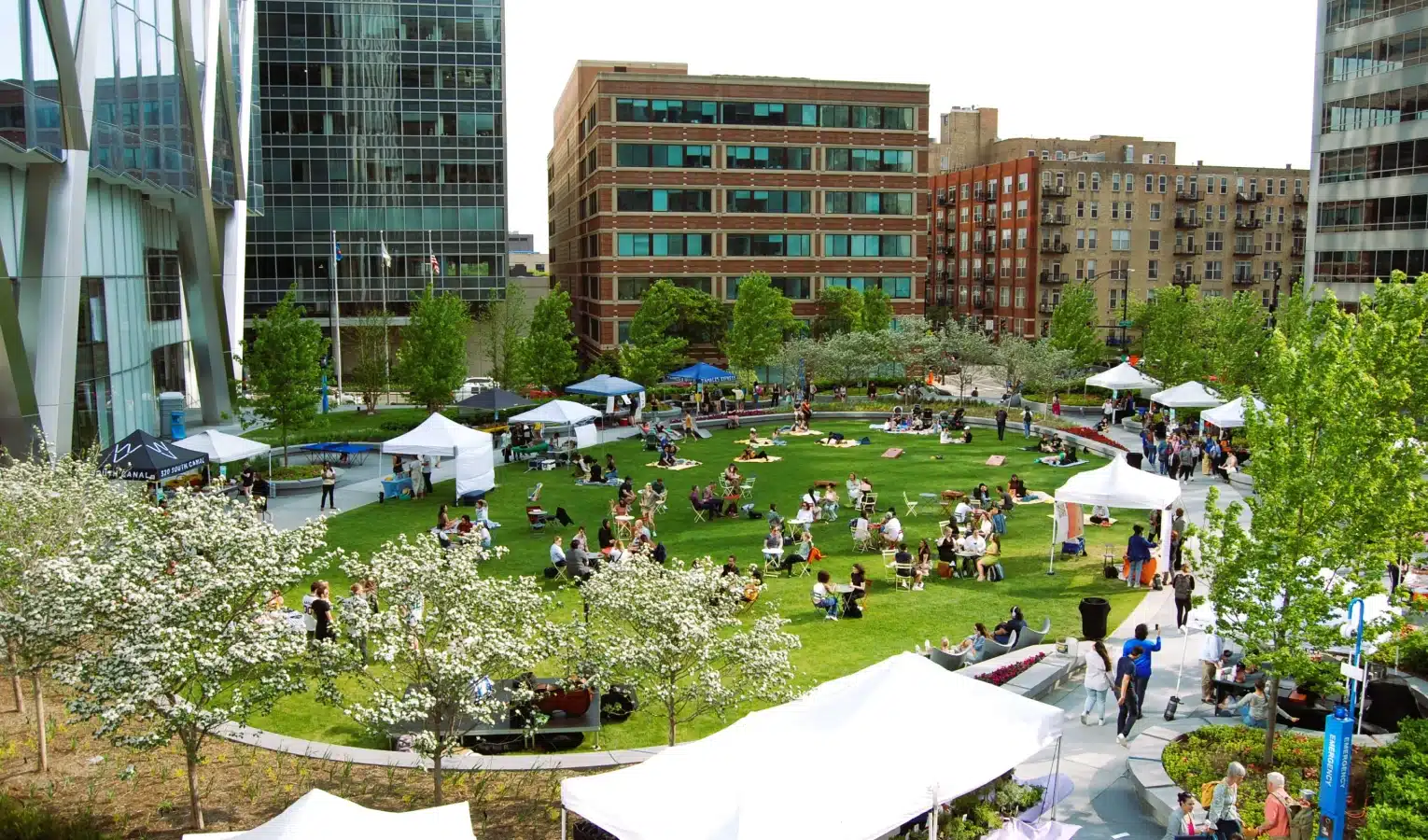 Urban park gathering with white tents, people relaxing on lawn surrounded by city buildings