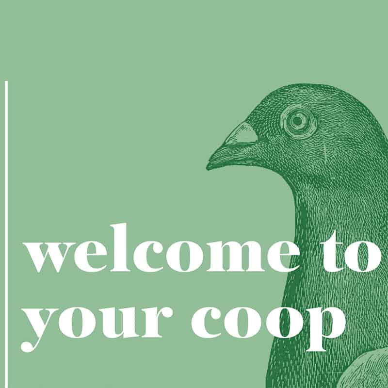 Minimalist green background design with whimsical pigeon illustration and bold welcome in white font
