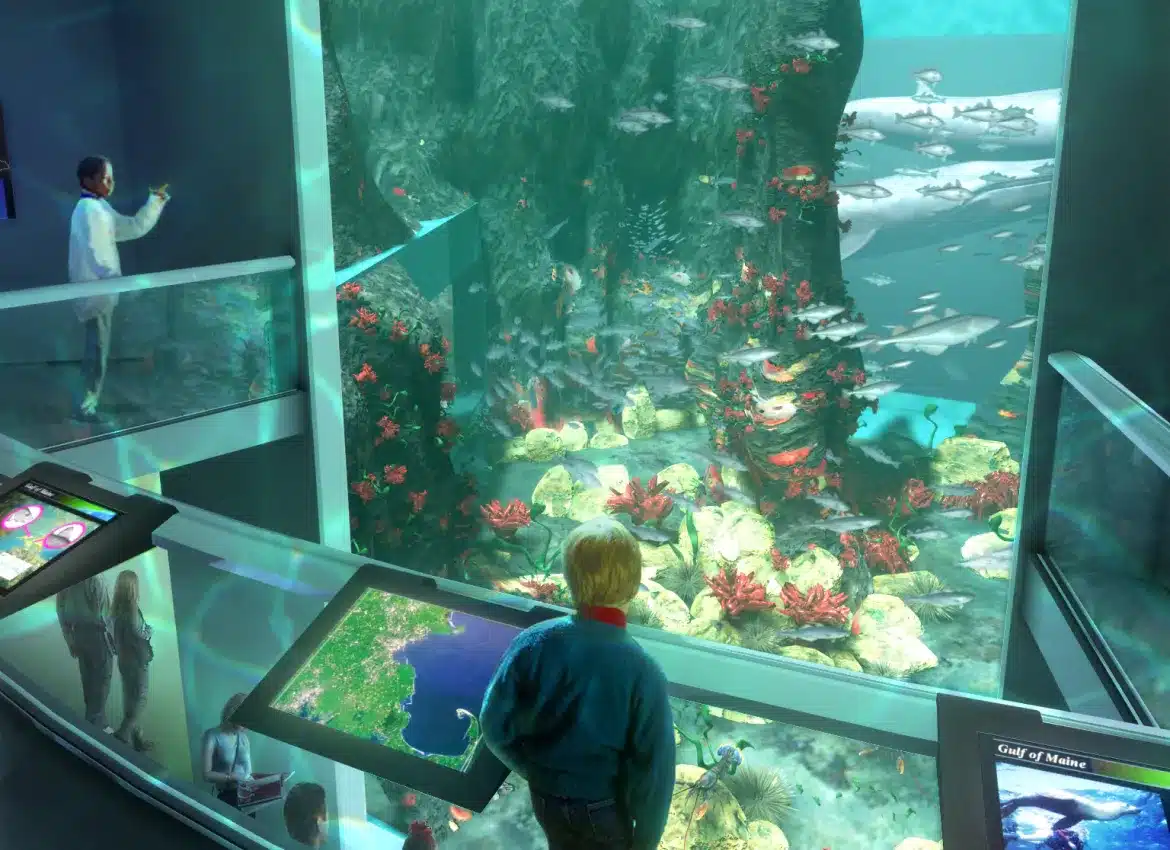 Children observing large aquarium tank filled with coral reefs and various colorful fish